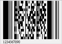 BarCode-PDF417-ex