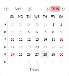 CalendarHitInfoType_EditYear 