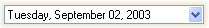 CD_Formatting_StandardFormatString_D_DateEdit