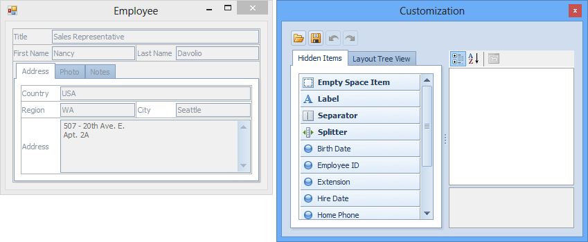 layout control devexpress