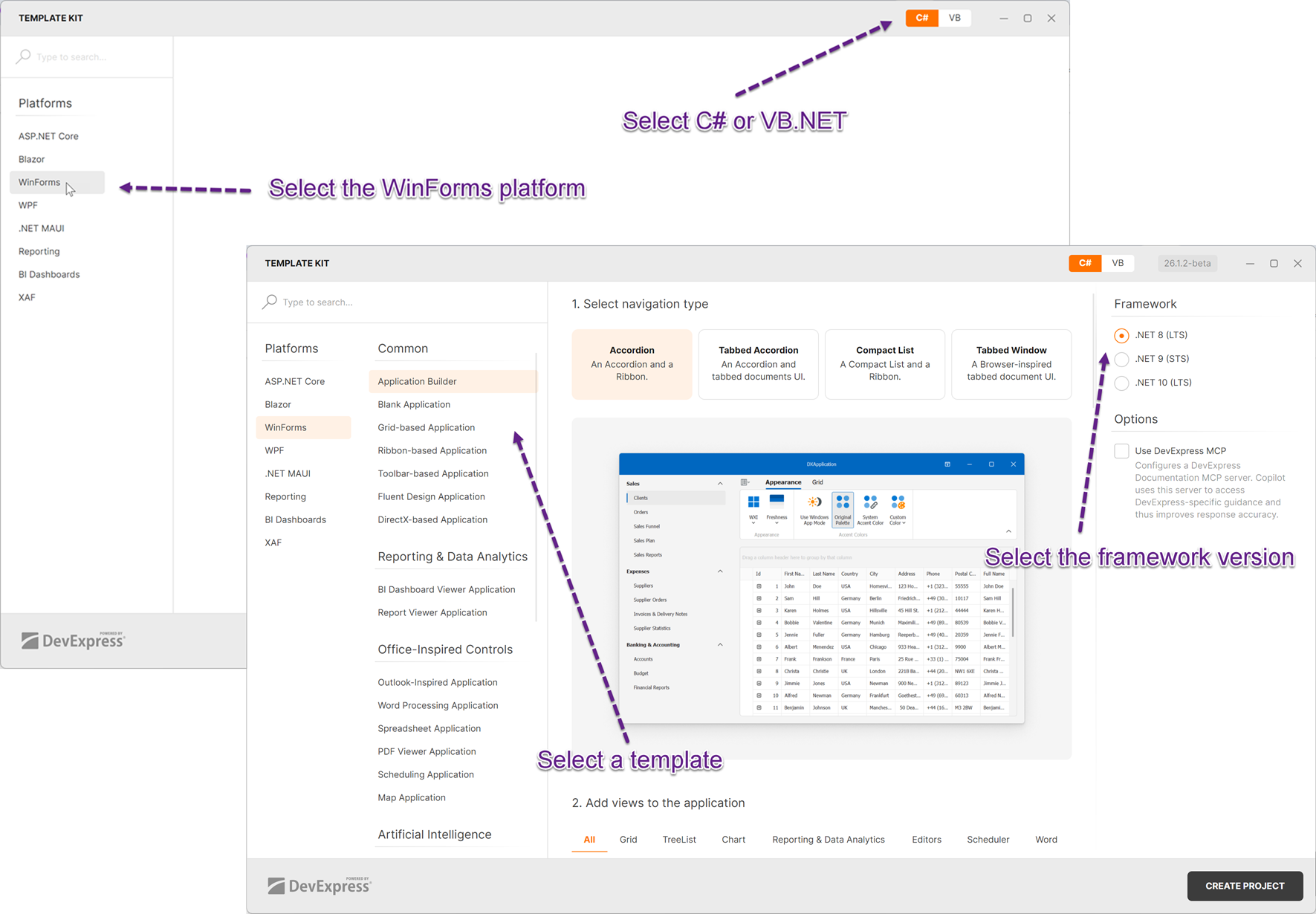 WinForms - Configure Project Settings in the Template Kit, DevExpress