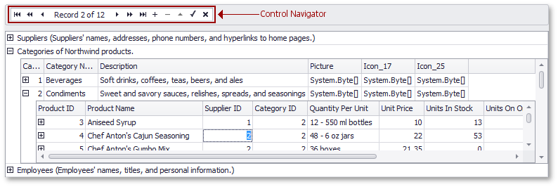 ControlNavigator_control_Concept.gif