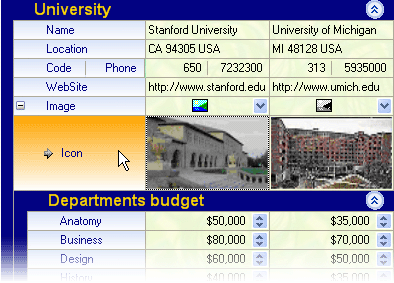 CustomDraw_Focused_property