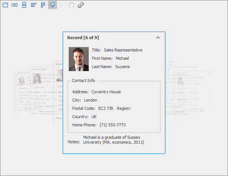 Data Grid - Cards - Carousel Mode