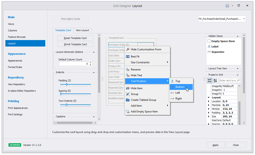 Layout View Winforms Controls Devexpress Documentation 6021