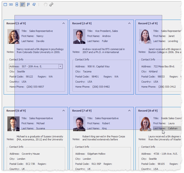 Data Grid - Cards - Marquee