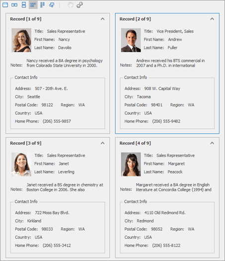 Data Grid - Cards - Multi Record Mode