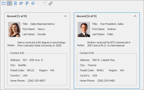 Data Grid - Cards - Single Row Mode