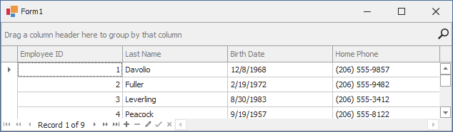 WinForms Data Grid - Embedded Data Navigator