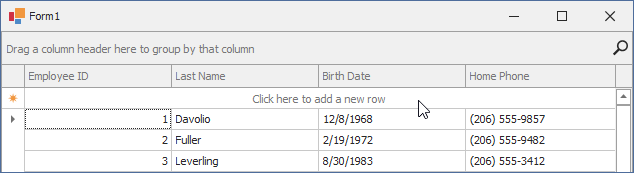 WinForms Data Grid - New Item Row