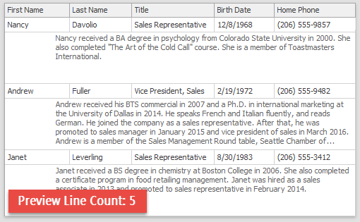 Data Grid - Preview Section - 5, off