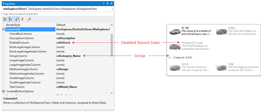 Data Grid - WinExp View - Columns 2