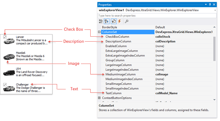 Data Grid - WinExp View - Columns