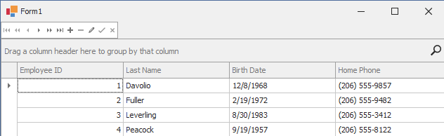 WinForms Data Grid external Control Navigator