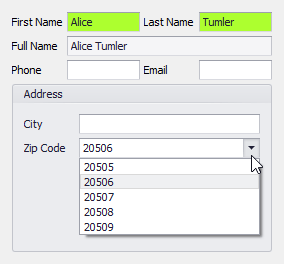 DataLayoutControl-FieldRetrieve-Example