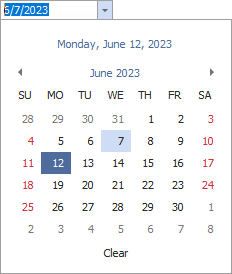 DateEdit-CalendarView-Vista