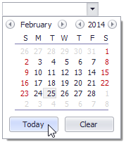 DateEdit-Classic-TodayButton