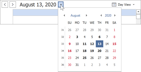 Bold appointment dates in Date Navigation Bar, Calendar button
