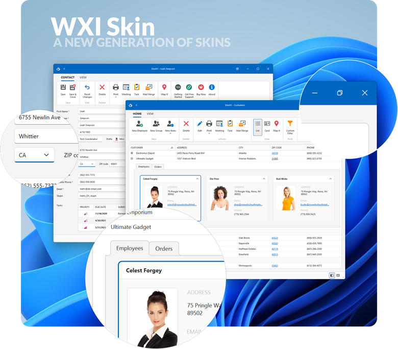 WXI Skin Overview