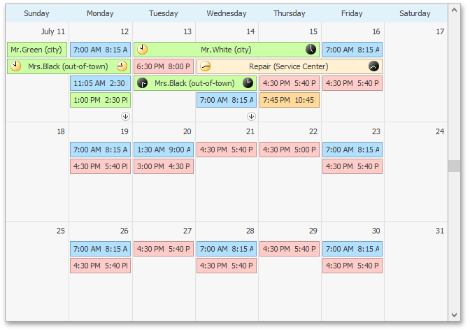 Docs_Fundamentals_Views_MonthView01.png