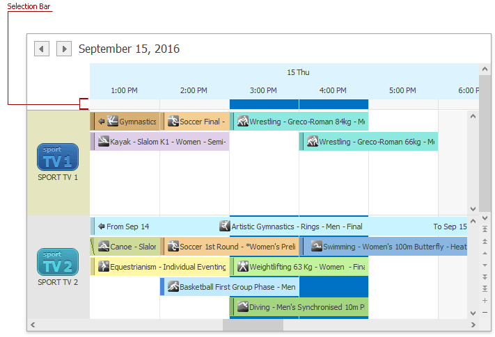 Docs_VisualElements_SchedulerControl_SelectionBar