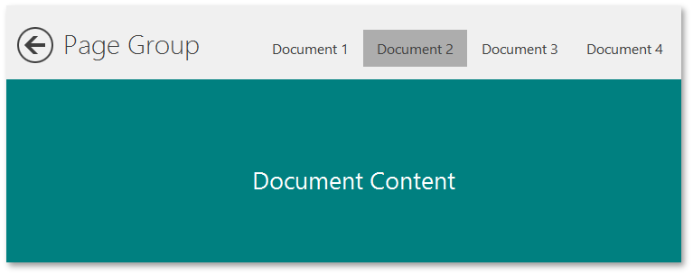 Document Manager - WinUI - Page Group new
