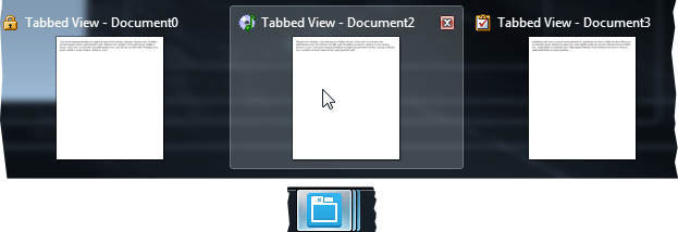 DocumentManager - Thumbnail Caption Format