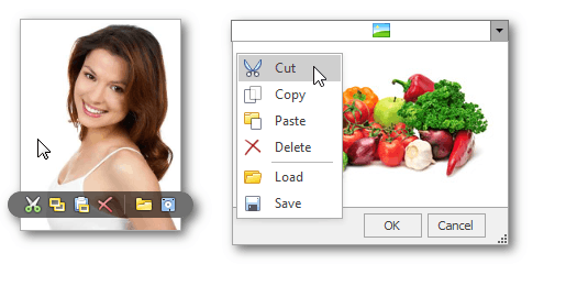 EU_XtraEditors_ImageEdit_Menu