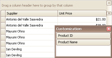 EU_XtraGrid_GridView_CustomizationForm