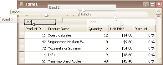 EU_XtraGrid_GridView_DragBands
