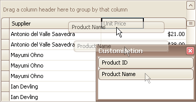 EU_XtraGrid_GridView_DragHiddenColumnOntoHeaderPanel