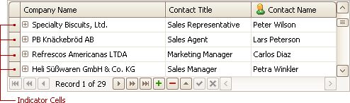 EU_XtraGrid_GridView_MasterRow_IndicatorCells