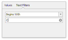 excel-filter-popup