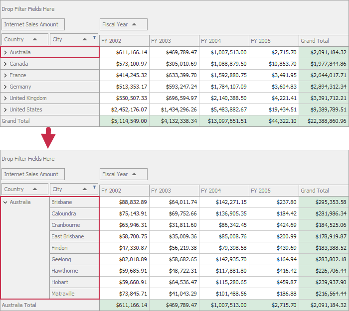 Pivot Grid with expanded rows