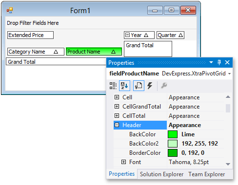 FieldAppearanceCustomization