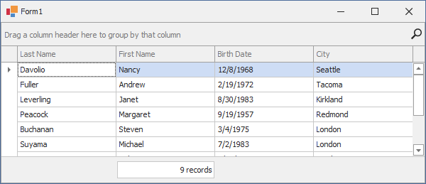 WinForms Data Grid create and display summary in code