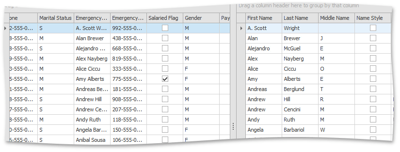 GridRowLayout_HorizontalSplitView