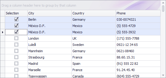 GridView_OptionsSelection_ShowCheckBoxSelectorInColumnHeader_False