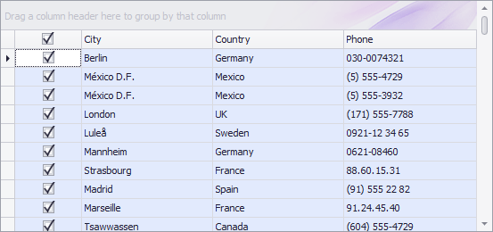 GridView_OptionsSelection_ShowCheckBoxSelectorInColumnHeader_True