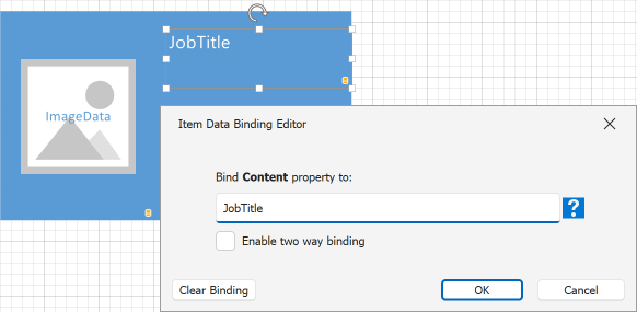 Item Data Binding Editor