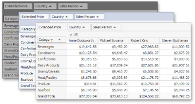 Pivot Grid Winforms Controls Devexpress Documentation