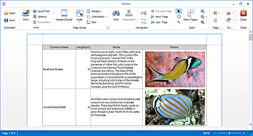 Tree List Print Preview