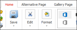 Ribbon Features - Pages