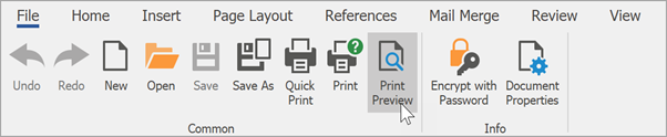 Invoke the Print Preview Dialog