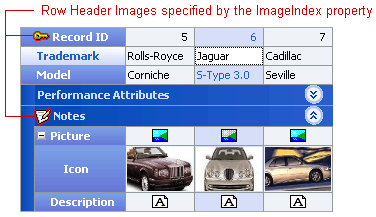 RowProperties_ImageIndex