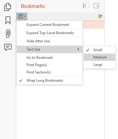 RuntimeBookmarkOptions