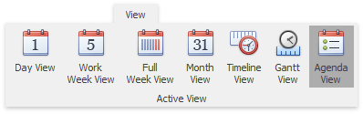 Scheduler_Ribbon_ActiveView