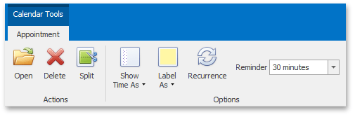 Scheduler_Ribbon_Options