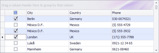 Multiple Row Selection using Built In Check Column and Selection