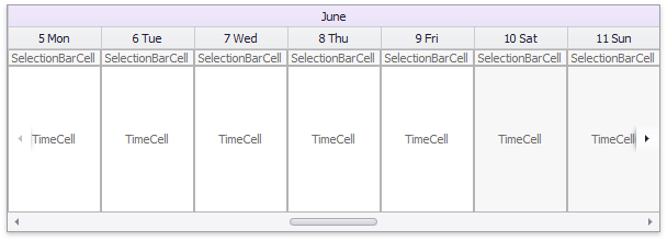 SelectionBarCell